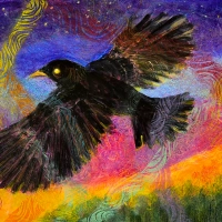 Night Crow